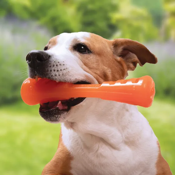 Bionic Urban Stick Dog Toys