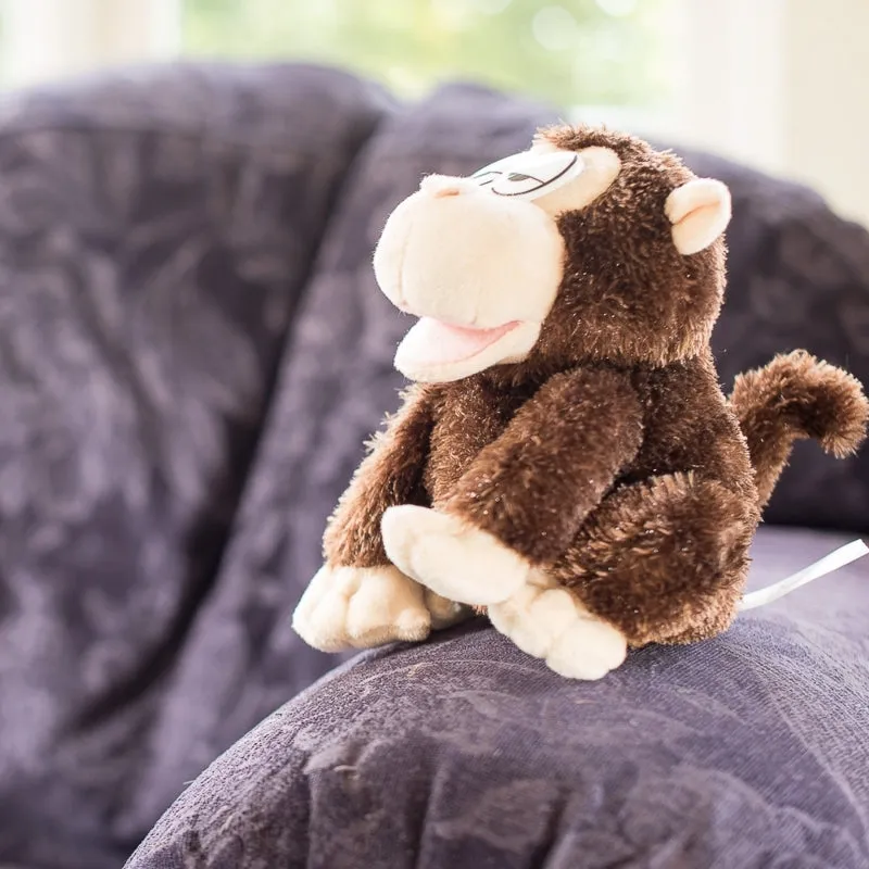 Chatback MimicMate Chimp
