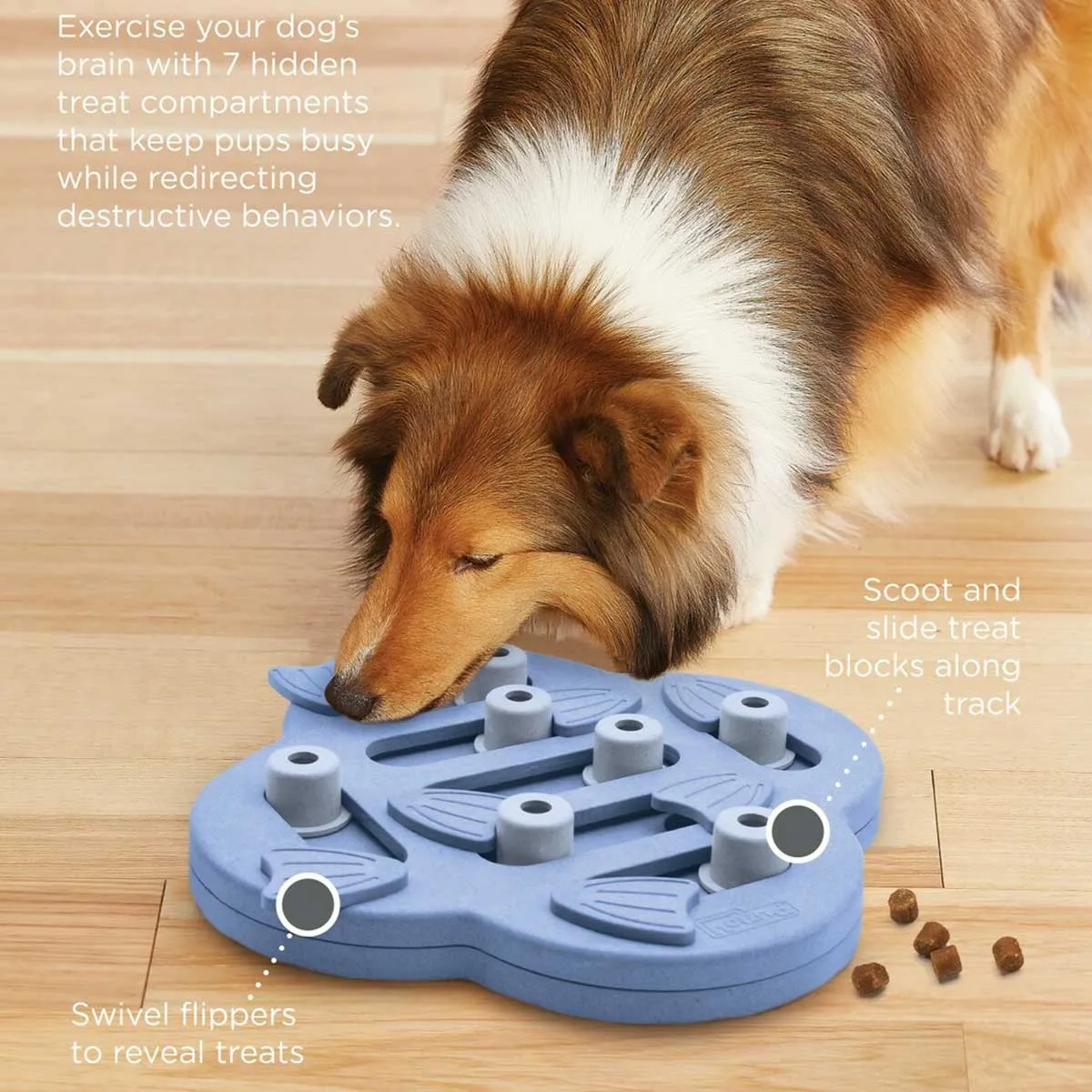 Dog Hide N' Slide Purple Puzzle Game - Intermediate