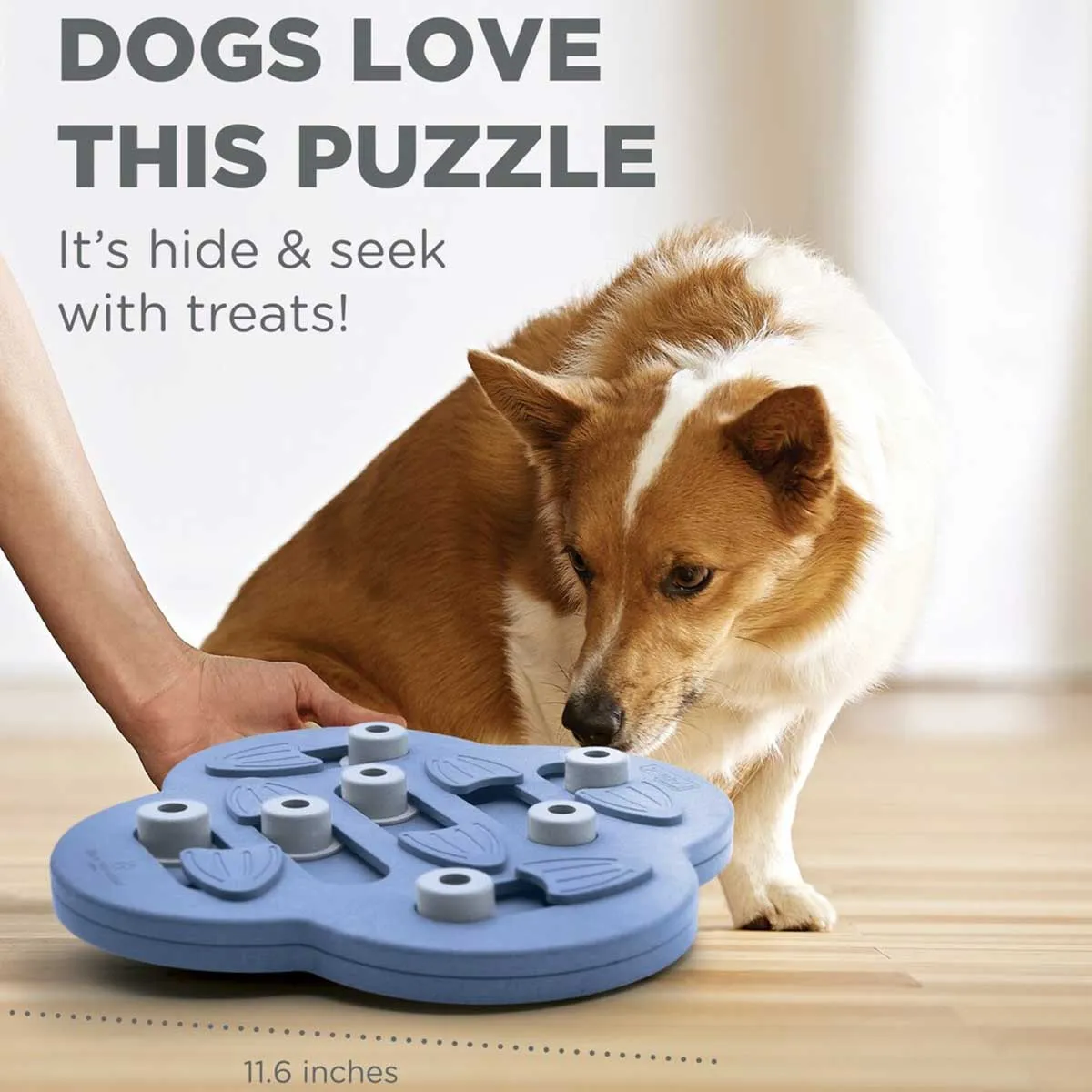 Dog Hide N' Slide Purple Puzzle Game - Intermediate