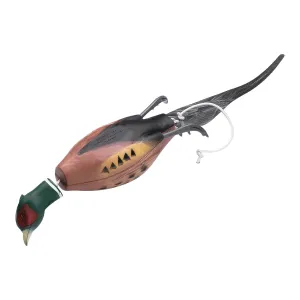Dokken Dead Fowl Pheasant