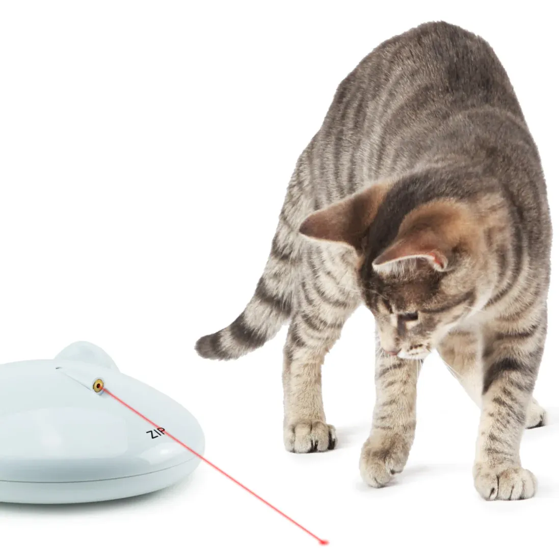 FroliCat ZIP Automatic laser light