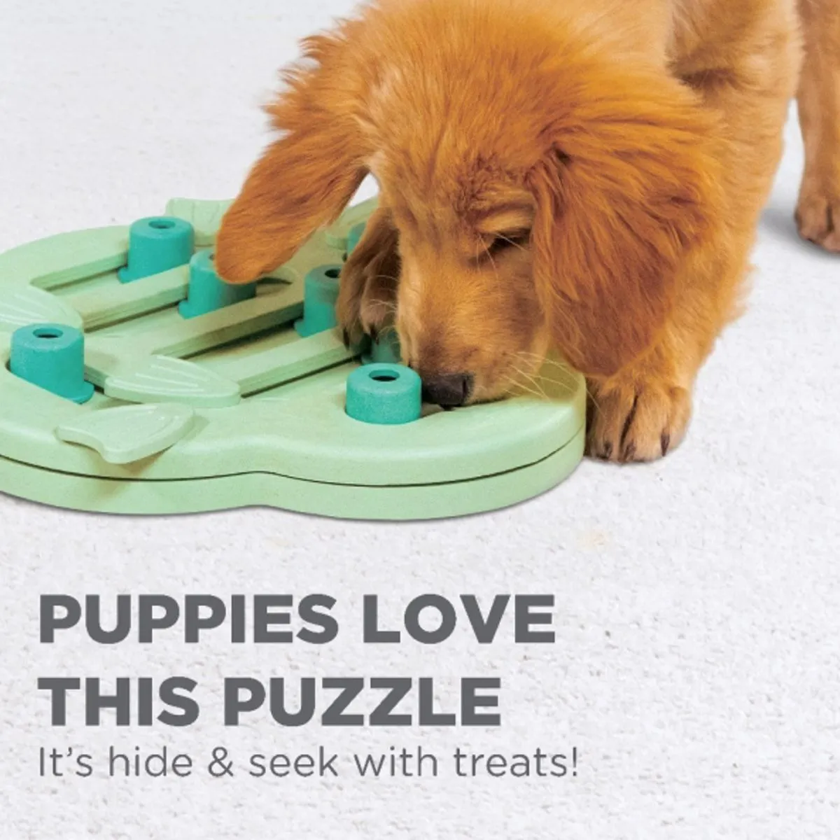 Green Puppy Hide N' Slide Puzzle Game - Intermediate