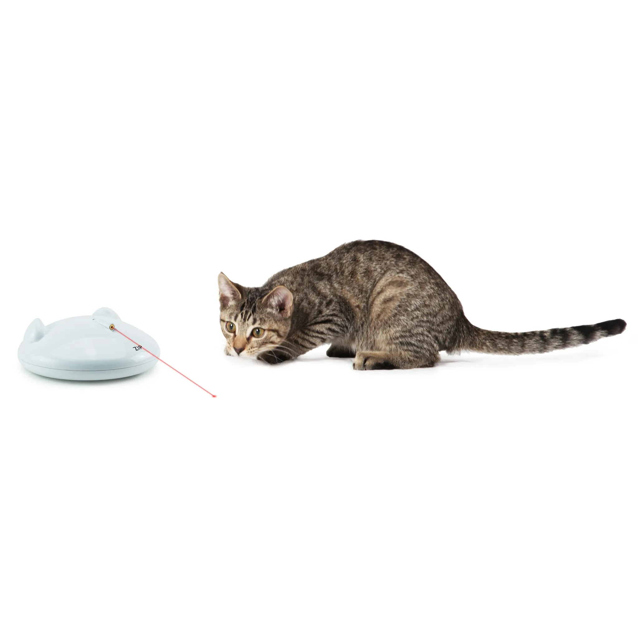 ZIP Luce laser automatica